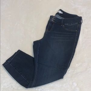 Torrid Jeans
